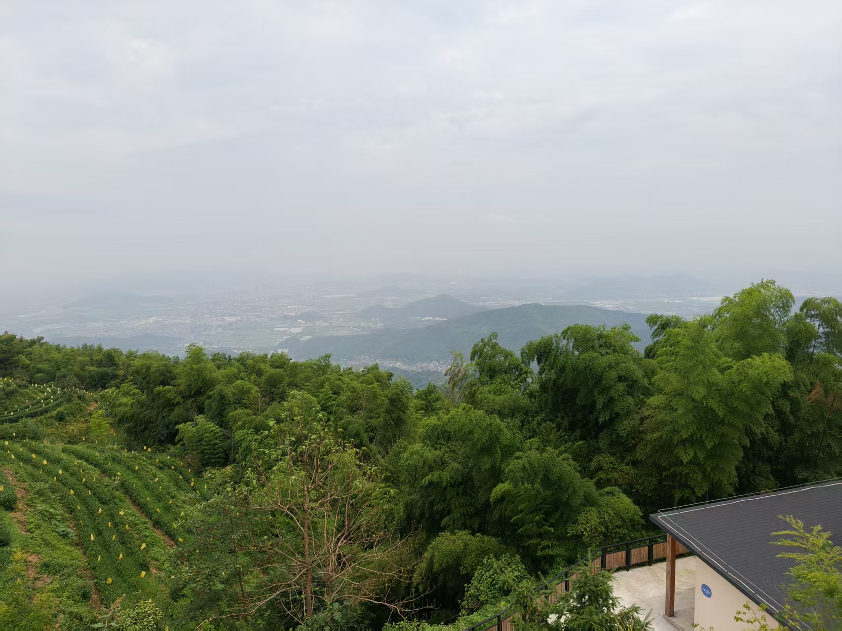 萧山顶俯瞰
