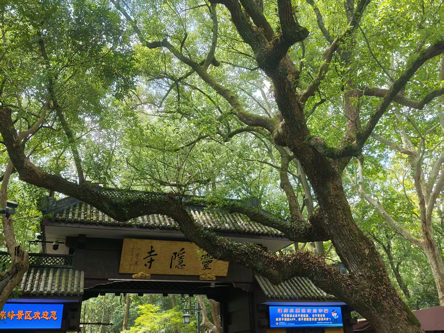 灵隐寺