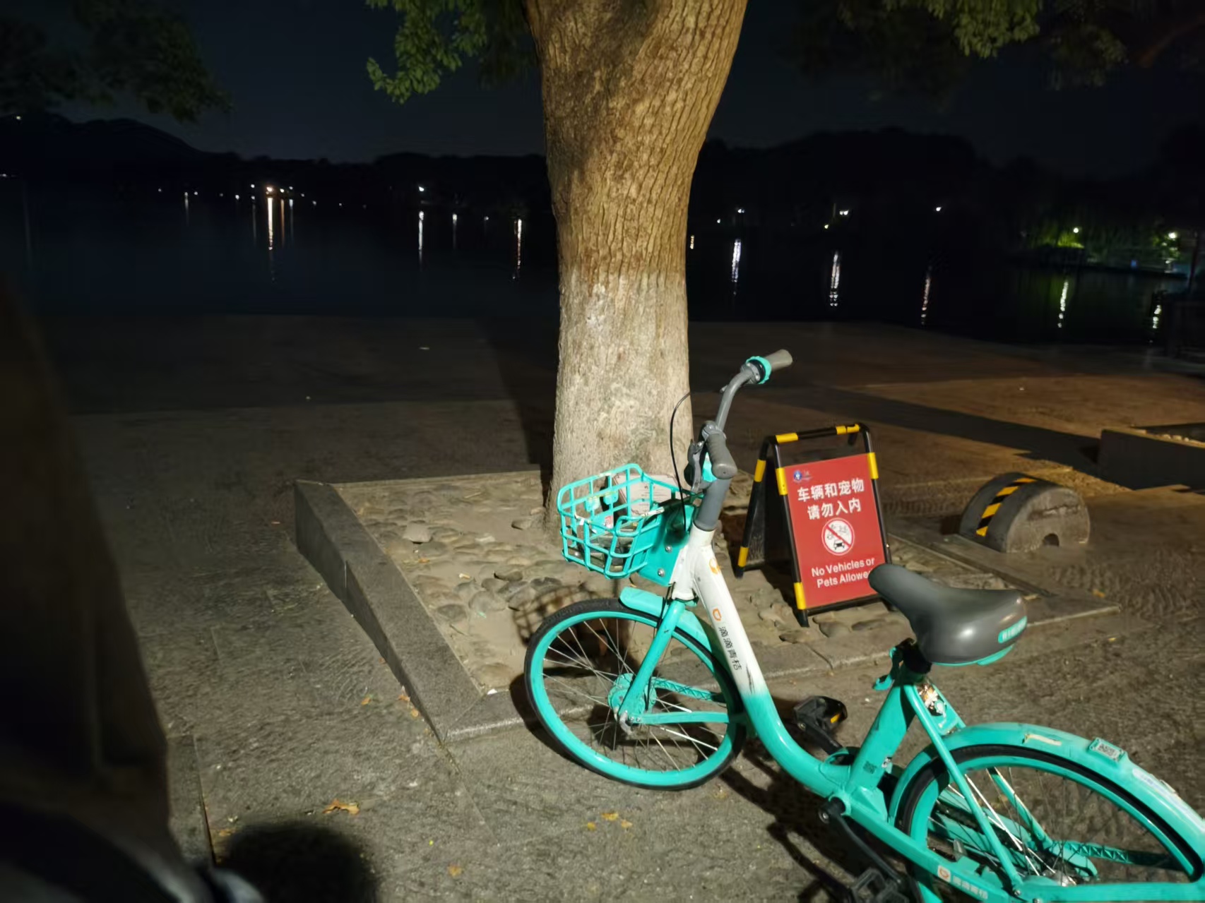 西湖夜骑